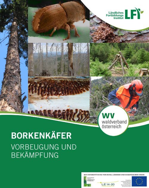 Borkenkäfer-2016-web-1