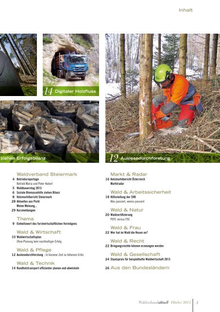 Waldverband aktuell - Ausgabe 2013-04