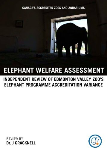 ELEPHANT WELFARE ASSESSMENT