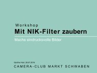 IRIS-FT01-NIK-Filter-Workshop