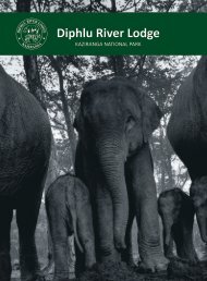 Diphlu River Lodge Brochure