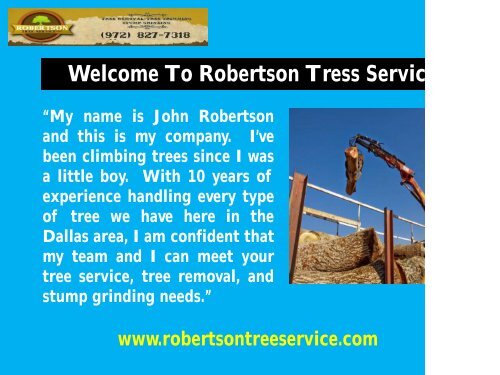  Stump Grinding Service in Dallas |Robertson Tree Service