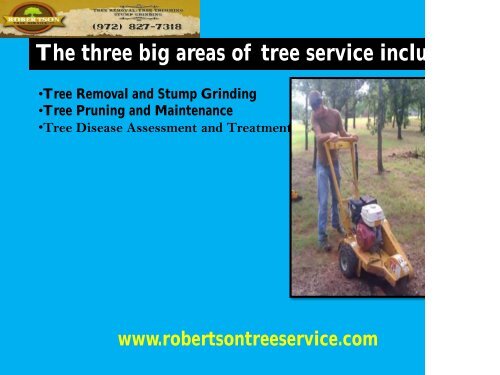  Stump Grinding Service in Dallas |Robertson Tree Service