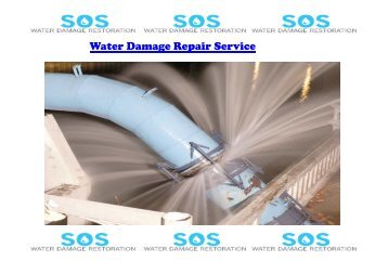 Water Damage Repair Service