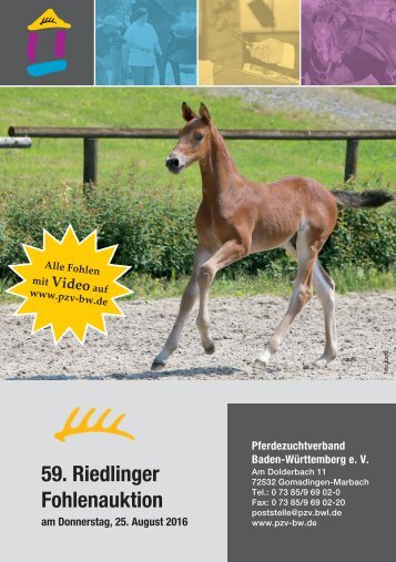 Fohlenauktionskatalog Riedlingen 2016