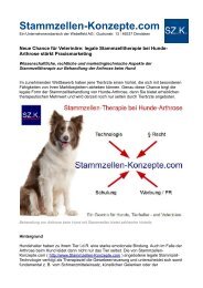 Was hilft bei Arthrose bei Hunden? Stammzellbehandlung als Chance im Praxismarketing von Tierärzten