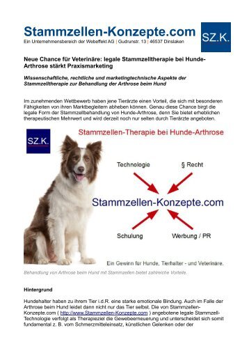 Was hilft bei Arthrose bei Hunden? Stammzellbehandlung als Chance im Praxismarketing von Tierärzten