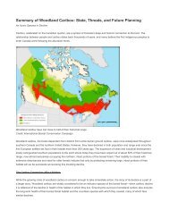 Background document - woodland caribou - Canadian Boreal Initiative