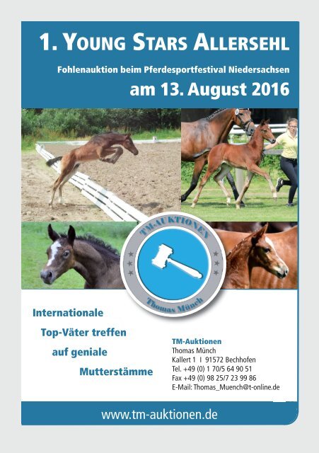 Young Stars Fohlenauktion am 13. August 2016