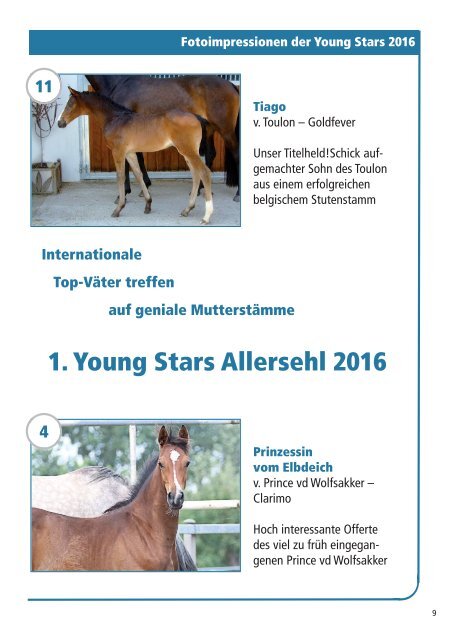 Young Stars Fohlenauktion am 13. August 2016