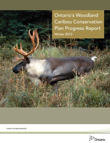 Ontario's Woodland Caribou Conservation Plan Progress Report ...