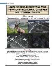 linear features, forestry and wolf predation of caribou and other prey ...