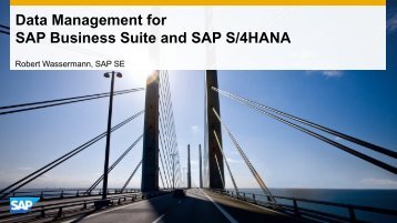 SAP Business Suite and SAP S/4HANA