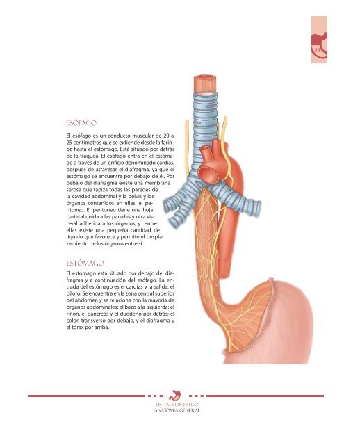 libro de anatomia 