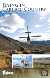 Flying in Caribou Country - Yukon Geological Survey - Government ...