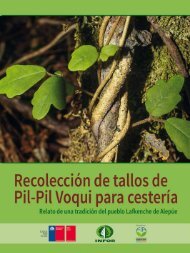 RECOLECCIÓN DE TALLOS DE Pil-Pil Voqui PARA CESTERÍA