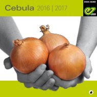 Cebula 2016-2017