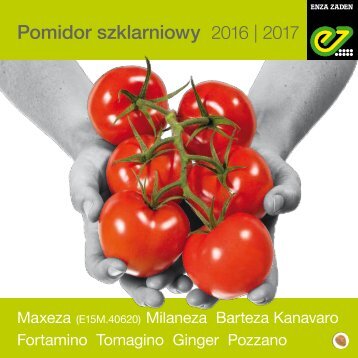 Pomidor 2016-2017