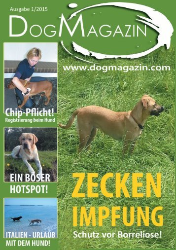 Ausgabe 1_2015