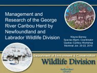 Management and Research of the George River Caribou Herd by ...