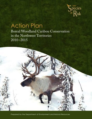 Action Plan for Boreal Woodland Caribou in the - Environment and ...