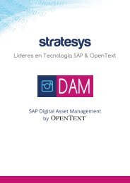 Stratesys - Expertos en SAP DAM by OpenText