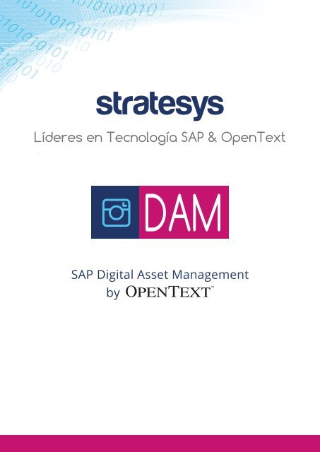 Stratesys - Expertos en SAP DAM by OpenText