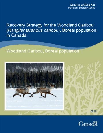 Recovery Strategy for the Woodland Caribou - Publications du ...