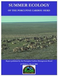 SUMMER ECOLOGY OF THE Porcupine Caribou Herd - Taiga Net