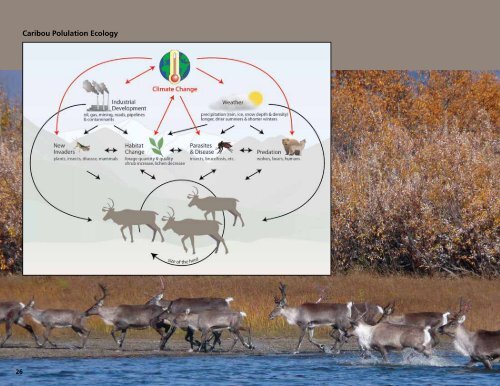 Complexity of Caribou Population Dynamics in a Changing Climate