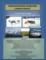 canadian rockies woodland caribou project - College of Forestry and ...