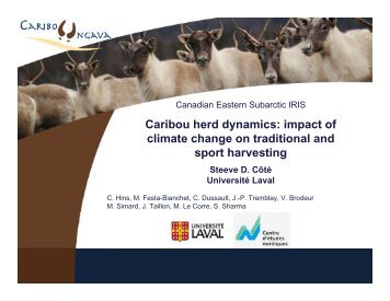 Caribou herd dynamics - ArcticNet - Université Laval