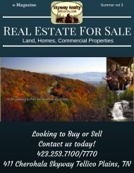 Skyway Real Estate Guide