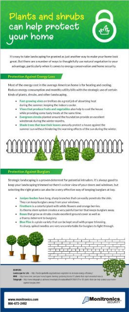 Lawn Care 101 - Plants and Shrubs Can Help Protect Your Home