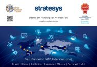 Stratesys - Brochure Corporativo - AGO2016 BR