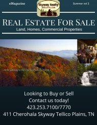 Skyway Real Estate Guide