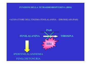 funzioni della tetraidrobiopterina (bh4)