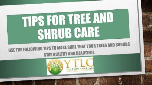 Tips for Tree and Shrub Care