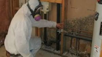 Mold Inspection Fort Lauderdale