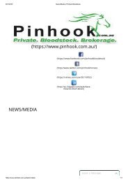 News_Media _ Pinhook Bloodstock