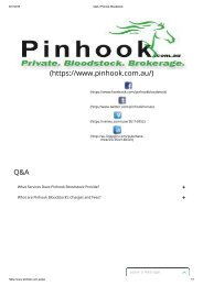 Q&A _ Pinhook Bloodstock