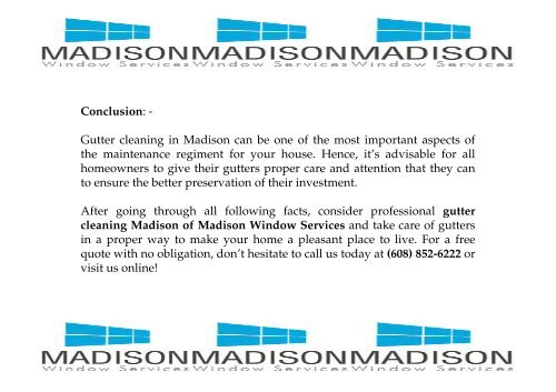 Gutter Cleaning Madison