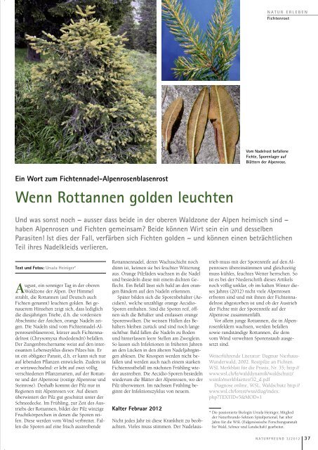 Magazin Naturfreund - Naturfreunde Schweiz