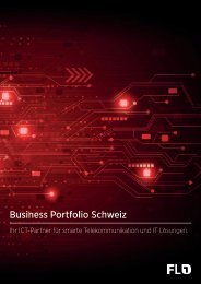 FL1 Business Portfolio Schweiz
