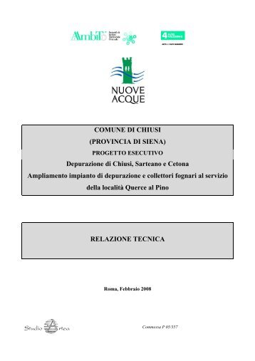 DETERMINAZIONE DEL CARICO IDRAULICO E ... - Nuove Acque