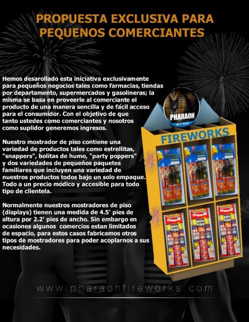Flyer 8x11 Pag3