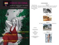 Visión Diversa n2 edición