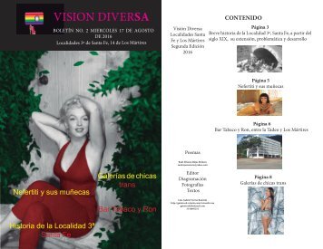 Visión Diversa n2 edición