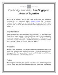 Cambridge Associates Asia Singapore: Areas of Expertise