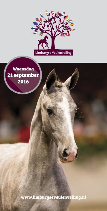 Limburgse Veulenveiling catalogus 2016
